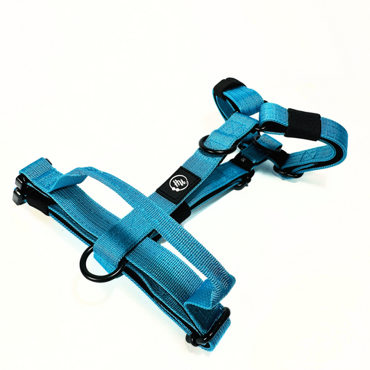 Oprsnica Niahugo z držalom modra