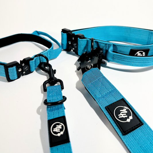 Ovratnica Niahugo z držalom Niahugo modra