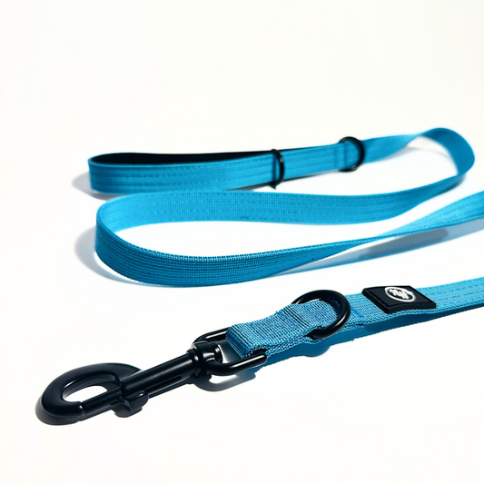 Povodec Niahugo moder