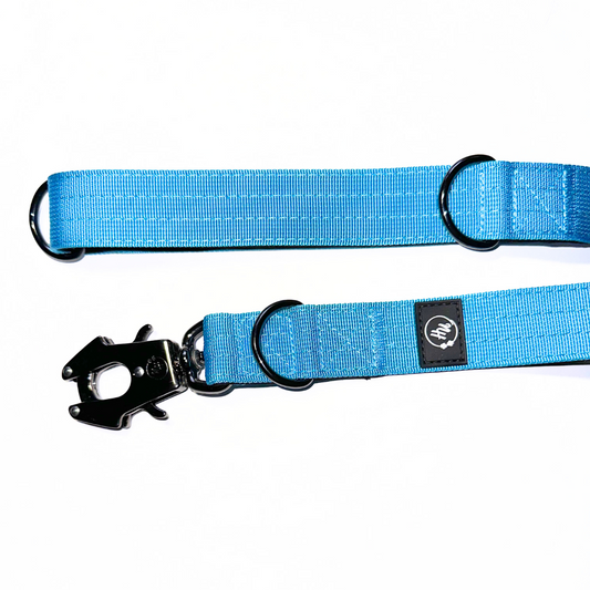 Povodec Niahugo z žabjo zaponko moder