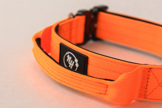 Ovratnica Niahugo z držalom oranžna