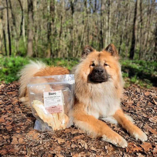 pes s priboljški Baro zajčja ušesa brez dlake