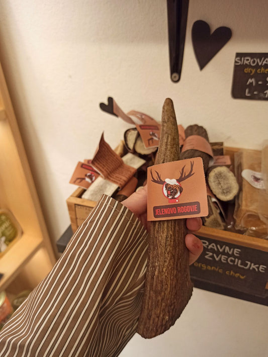 jelenovo rogovje več oblik